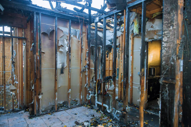 Professional Fire Damage Removal technician working in Harmans, MD